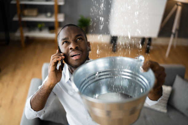 Best Water damage restoration near me  in Fulton, MD