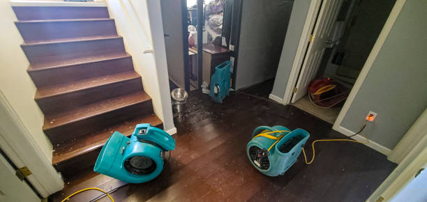  Fulton, MD Water damage restoration Pros