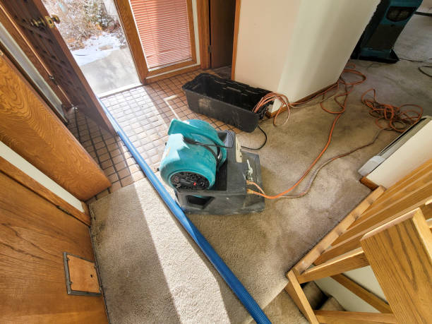 Best Water damage restoration specialists  in Fulton, MD