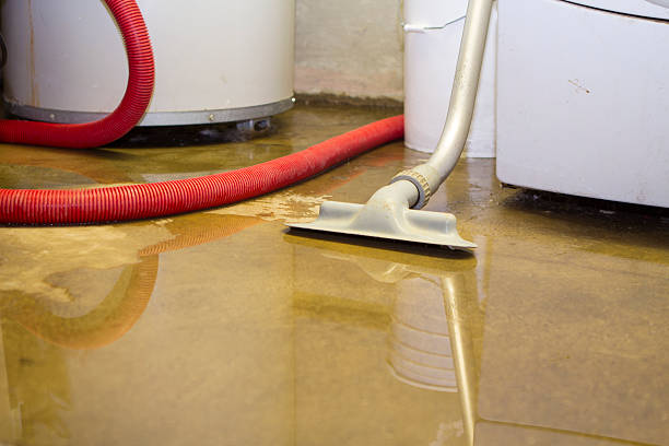 Best Water damage restoration mold remediation  in Fulton, MD