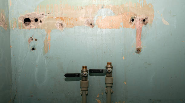 Best Commercial water damage restoration  in Fulton, MD